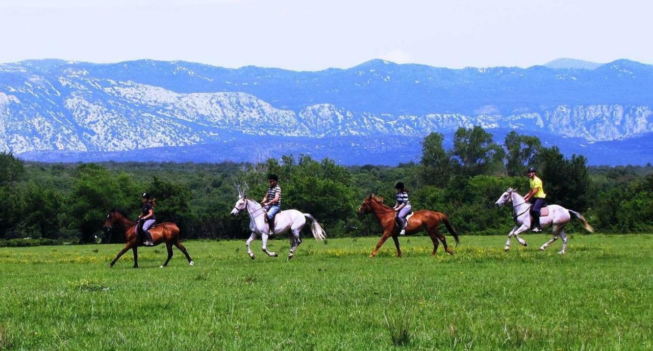 Apartment Josephine 2 Malinska Εξωτερικό φωτογραφία